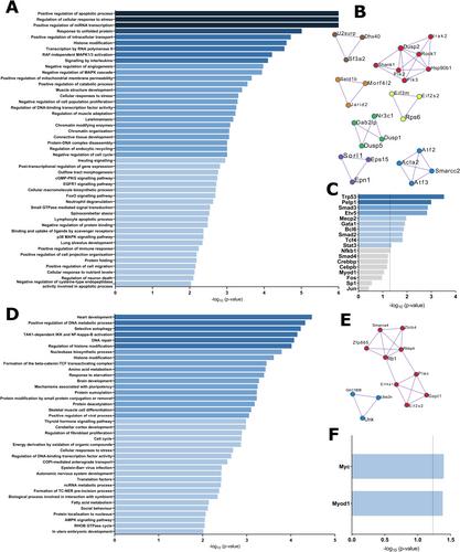 Disease Aggravation With Age in an Experimental Model of Multiple Sclerosis: Role of Immunosenescence