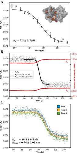 Continuous Titration Based Method for Rapid In-Solution Analysis of Non-Covalent Interactions