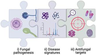 Revealing the dynamics of fungal disease with proteomics