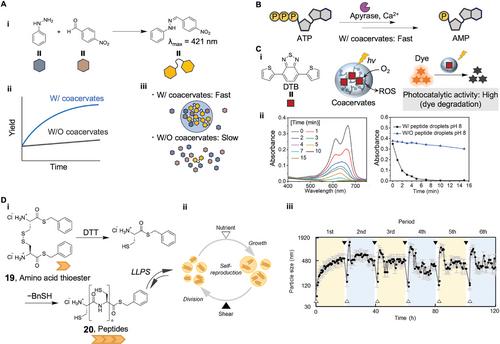 Coacervates Composed of Low-Molecular-Weight Compounds– Molecular Design, Stimuli Responsiveness, Confined Reaction