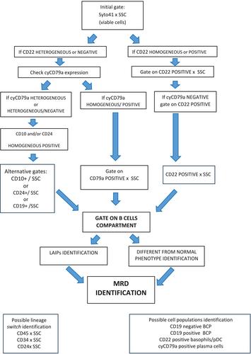 How I Investigate Measurable Residual Disease in B-Cell Precursor Acute Lymphoblastic Leukemia After Therapy With Bi-Specific Monoclonal Antibodies and 19CAR-T Cells