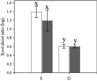 High nutrient availability does not mitigate submersion stress in an emergent aquatic macrophyte