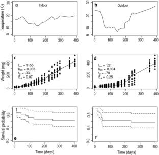Temperature effects on the physiology, growth and survival of the apple snail Pomacea sp. (Perry, 1810)
