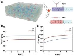 A linearly programmable strategy for polymer elastomer mechanics†