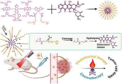 GSH-Responsive Semiconducting Polymer as a Nanotheranostic Platform for NIR-II Imaging-Guided Chemo-Photothermal Therapy