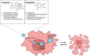 Polybasic nanogels for intracellular co-delivery of paclitaxel and carboplatin: a novel approach to ovarian cancer therapy†