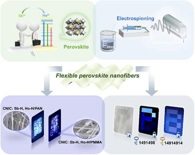 Activate Reconstruction from Sb3+/Ho3+ Synergistic Doping Nanofibers for Interactive Information Encryption and Customized Display