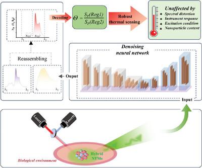 Ultrarobust and Precise Luminescence Thermometry Enabled by the Combination of Reassembled Emission Spectra With Denoising Neural Network