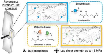 Debondable phenoxy-based structural adhesives with β-amino amide containing reversible crosslinkers†