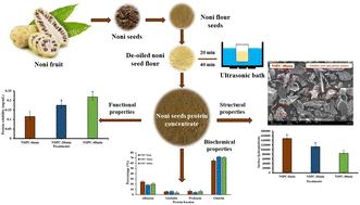 High-intensity ultrasound affects the physicochemical, structural and functional properties of proteins recovered from noni (Morinda citrifolia) seeds