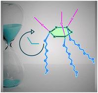 Design, synthesis and in vitro evaluations of new cyclotriphosphazenes as safe drug candidates†