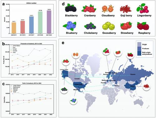 Berries: Health Effects via Modulation of the Gut Microbiota