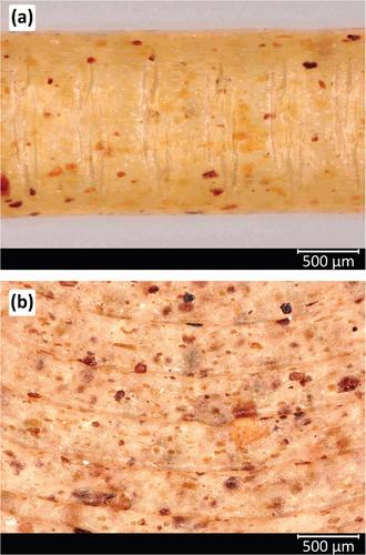 Combining Selective Laser Sintering and Fused Deposition Modeling of Pharmaceutical Polymers: A Novel Approach to Prepare Intestine-Targeted Tablets