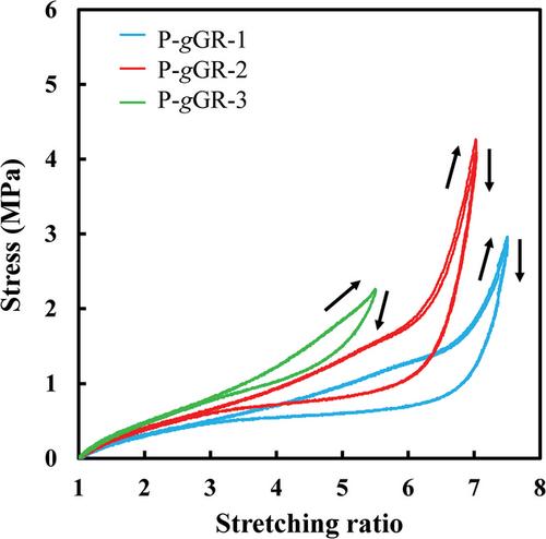 Two-Cycle Strain-Induced Crystallization Behavior of Peroxide Cross-Linked Solid Guayule Natural Rubber