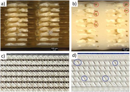 Utilizing Liquid Crystalline Polymers as a Reinforcement Phase in the Fused Filament Fabrication with Conventional Polymers