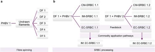 Scalable Fabrication of Self-Reinforced Bioplastic Composites Using Short Fiber Reinforcements