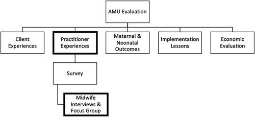 Exploring Midwives’ Experiences Within Canada's First Alongside Midwifery Unit: Impacts and Implications for Midwifery Practice