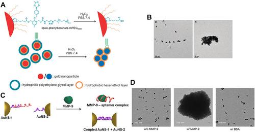 Tumor Diagnosis and Treatment Based on Stimuli-Responsive Aggregation of Gold Nanoparticles