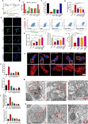 Dual-Responsive Multi-Functional Silica Nanoparticles With Repaired Mitochondrial Functions for Efficient Alleviation of Spinal Cord Injury