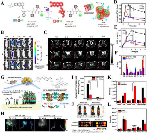 Erratum to “Recent Progress in Quantitative Analysis of Self-Assembled Peptides”