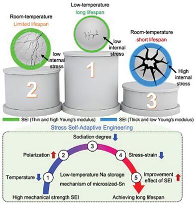 Stress Self-Adaptive Engineering Advances the Low-Temperature Na Storage Cycling Stability of Microsized Sn