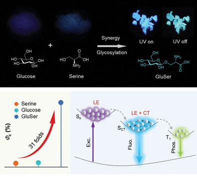 Synergistic Photoluminescence Enhancement in Nonaromatic Amino Acids and Sugars via Glycosylation