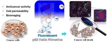 Fluorescent p53 helix mimetics pairing anticancer and bioimaging properties†
