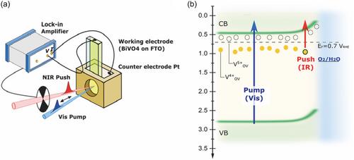 Charge Carrier Dynamics at Heterojunction of Semiconductor Nanoheterostructures for Photocatalytic Solar Fuel Generation