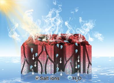 Hierarchically Structured Hydrogels for Rapid Solar Vapor Generation With Super Resistance to Salt
