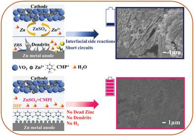 Branch Chain Variations Modulate Pyridine Derivative Adsorption for Long-Life Zinc-Ion Battery