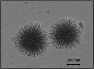 Dispersive Solid Phase Extraction of Nerve Agent Metabolites from Biomedical Samples Using Functionalized Dendritic Fibrous Nanosilica Spheres
