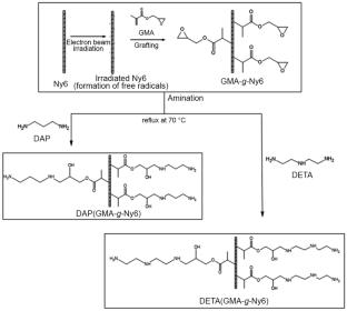 Amine-functionalized radiation-grafted nylon-6 fibers: synthesis and adsorption performance for diclofenac sodium