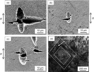 Machine Learning Guided Insights into the Effects of Nb/Ta and Ti/Ta Ratios on Microstructure and Creep Rupture Life in Nickel-Based Single-Crystal Superalloys