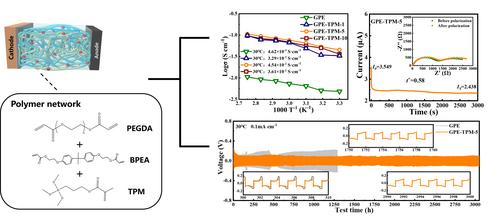 Siloxane-Based Polymer Gel Electrolytes for Sodium Metal Batteries with Long Lifespan at High Rates and Low Temperatures