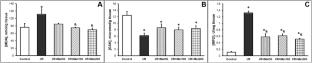 Modulation of the Oxidative Stress and ICAM-1/TLR4/NF-Κβ Levels by Metformin in Intestinal Ischemia/Reperfusion Injury in Rats