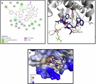 Synergistic Nanoformulation: Streamlined One-Pot Synthesis Enhances Paclitaxel Functionalization Gold Nanoparticles for Potent Anticancer Activity