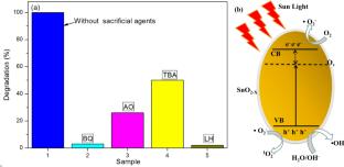 The Synergistic Effect of Chlorine Doping and Oxygen Vacancies over SnO2 Photocatalysts for Effectively Degrading Methyl Orange