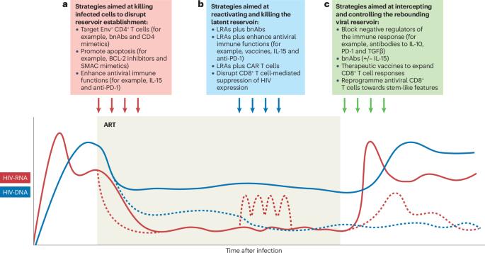 Immune-mediated strategies to solving the HIV reservoir problem