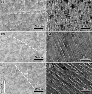 Effect of Inclination Angle on Microstructural Evolution and Mechanical Property of Support-Free IN718 Alloy Fabricated by Selective Laser Melting