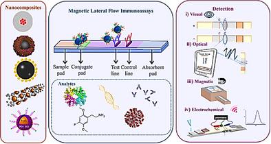 Applications of Magnetic Nanocomposites and Their Role in Advancing Lateral Flow Assays