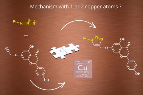 Flavanone-enabled CuAAC Reaction: Noninnocent Reagents Driving a Mononuclear Mechanism Over the Dinuclear Paradigm
