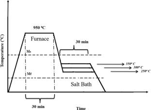 Effect of Quench and Partitioning Treatment on Microstructure, Tensile Properties, and Low Cycle Fatigue Behavior of Low-Carbon High Strength Steel