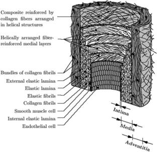 Integrating Microstructure and Mechanics: An analysis of Multiscale Computational Models in Arterial Disease
