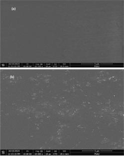 Eco-friendly Synthesis of CuO/PMMA Nanocomposite Films for Efficient Rhodamine B Dye Photocatalytic Degradation