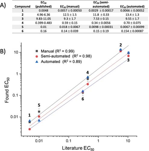 High-Throughput and Automated Anion Transport Assays