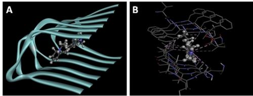 Role of Ion-Pair and H-Bonding in Colorimetric Detection of Insulin Fibrils with Picomolar Sensitivity
