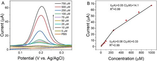 Modifying the Morphology, Doping, and Electroanalytical Performance of Carbon Nanofibers by Varying the Ratio of Etchant and Feedstock Gases