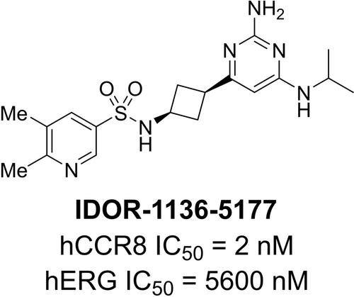Discovery of CCR8 Antagonist IDOR-1136-5177 for the Treatment of Cancer
