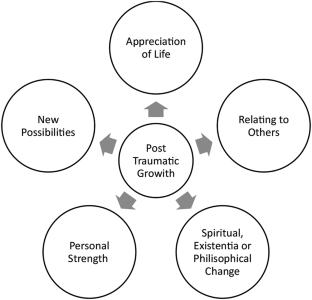 Post-Traumatic Growth Following a Category-5 Hurricane: An Exploratory Study of Black Communities in Florida, United States