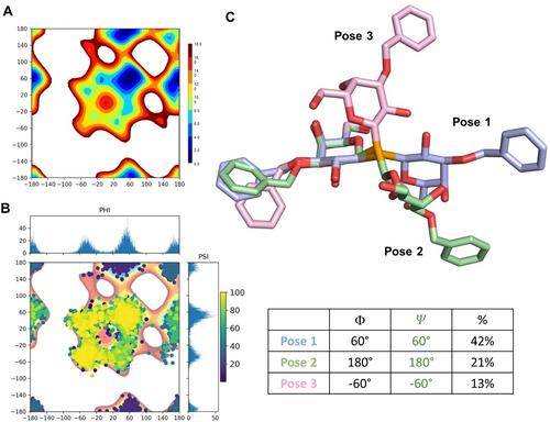 Structural Insights Into Galectin-3 Recognition of a Selenoglycomimetic